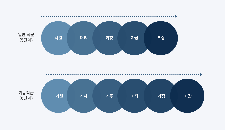 일반 직군 5단계 직급체계